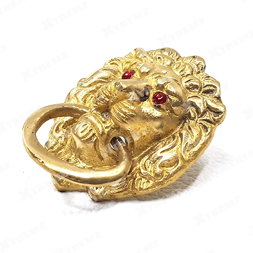 Xtremz Brass Lion Face Small - P403 Buy Lowest Price in India